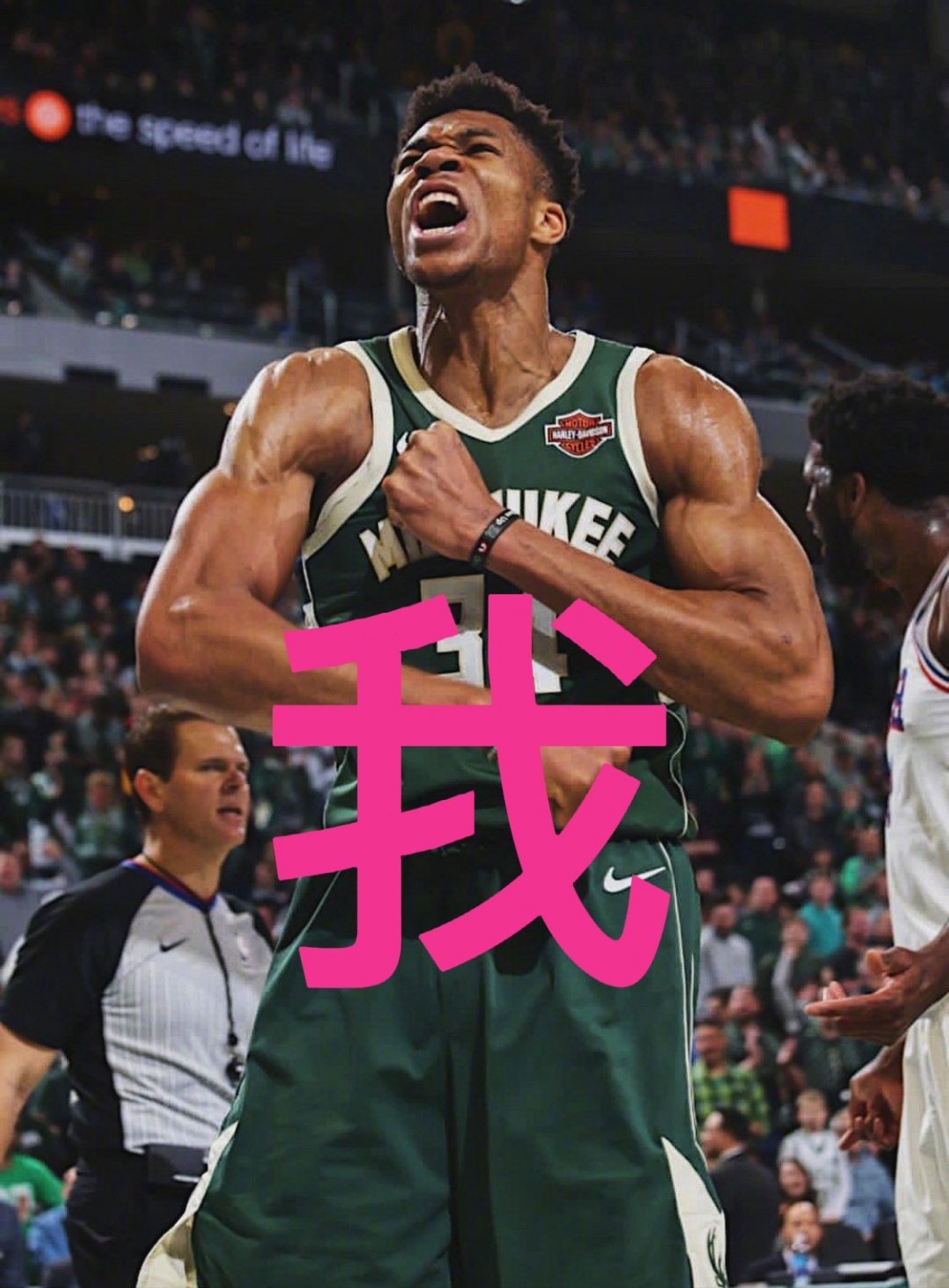 安博体育-字母哥率队逆转夺胜，雄鹿多点开花战术出色的简单介绍