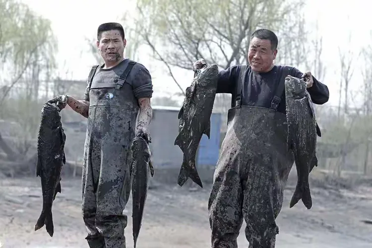 澳大利亚代表团斩获丰收，实现突破(澳大利亚代表团斩获丰收,实现突破的目标)